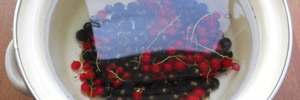 компот из красной и черной смородины