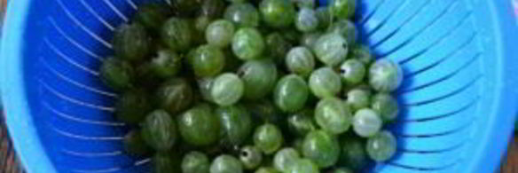 компот из крыжовника с апельсином на зиму