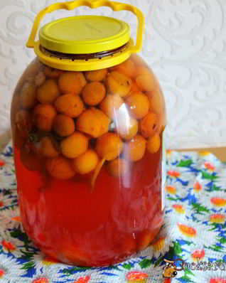 Компот из мелкой сливы с мятой