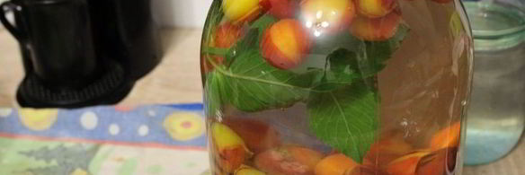 компот из мелкой сливы с мятой