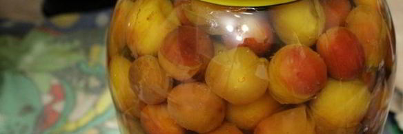 компот из мелкой сливы с мятой