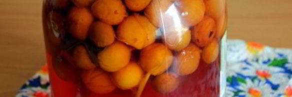 компот из мелкой сливы с мятой