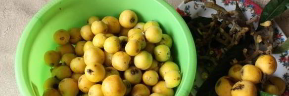 компот из мушмулы на зиму