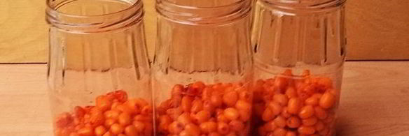 компот из облепихи на зиму