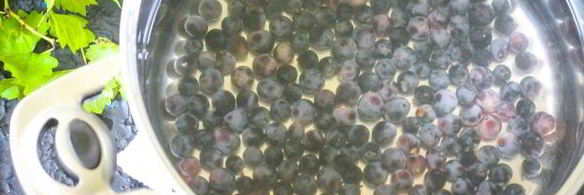 компот из синего винограда на зиму