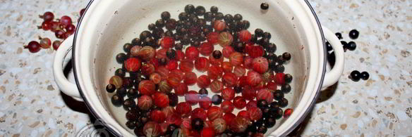 компот из смородины и крыжовника