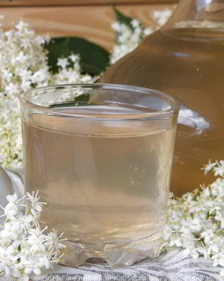 Компот из цветков бузины