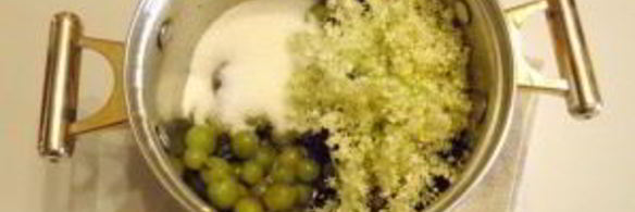 компот из цветков бузины