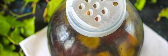 компот из винограда и слив на зиму