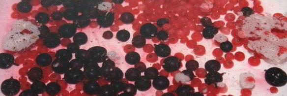 компот-крюшон со смородиной и гибридом мандарина с гранатом