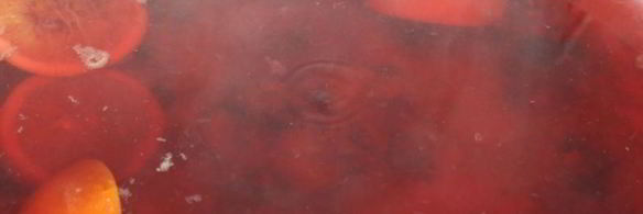 компот-крюшон со смородиной и гибридом мандарина с гранатом