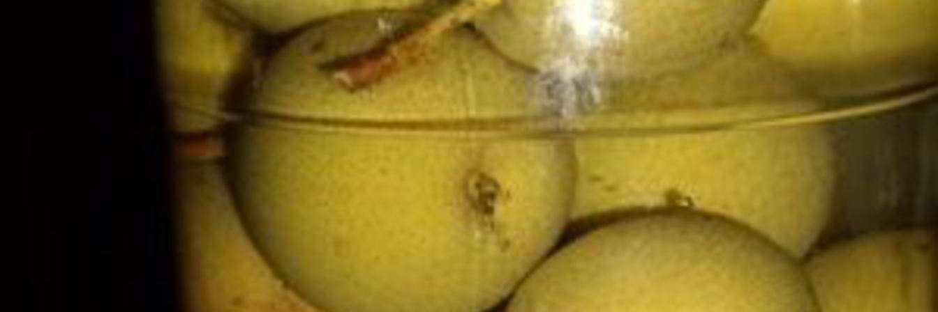 Компот Проводница