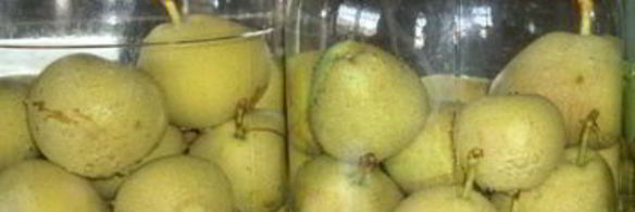 компот проводница