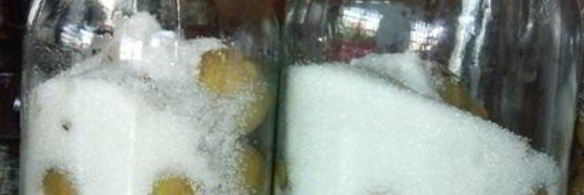 компот проводница