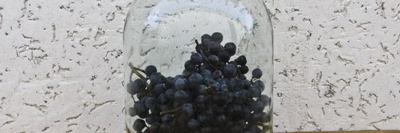 виноградный компот с мятой на зиму