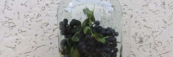 виноградный компот с мятой на зиму