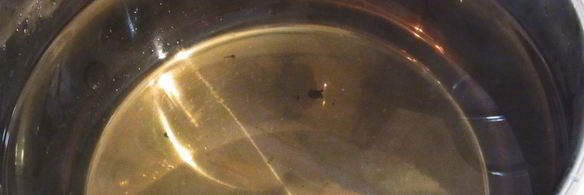 виноградный компот с мятой на зиму