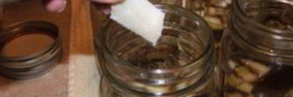 консервированная фасоль в томатном соусе