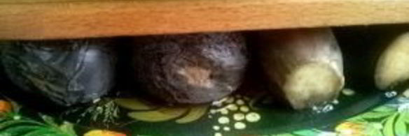 квашеные баклажаны с морковкой