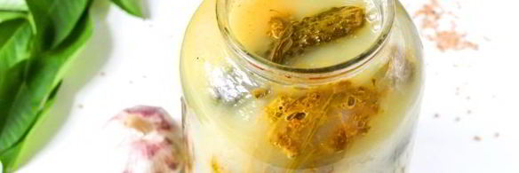 квашеные огурцы с горчицей