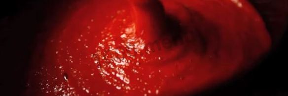 лютеница по-болгарски на зиму