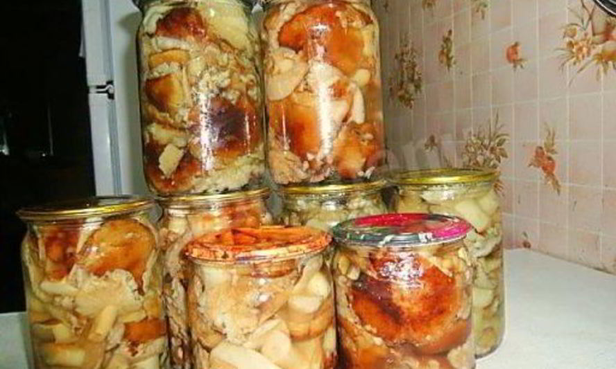 Рецепт грибов песчаники маринованные