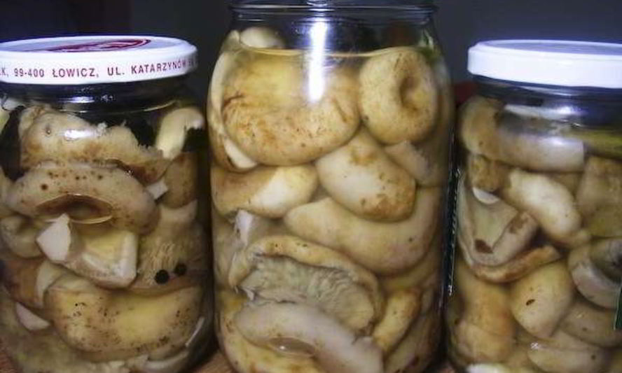 Рецепт груздей соленых маринованных