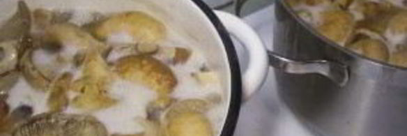 грузди соленые маринованные