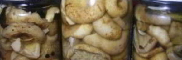 грузди соленые маринованные
