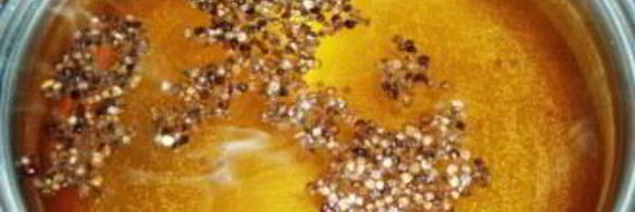 капуста маринованная с чесноком на зиму