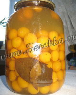 Маринованная алыча