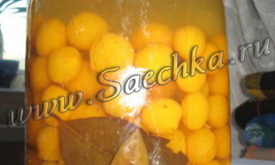 Рецепт маринованной алычи