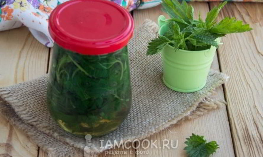 Рецепт маринованной крапивы