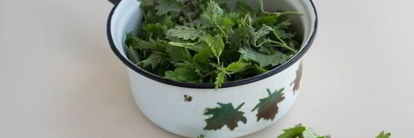 маринованная крапива