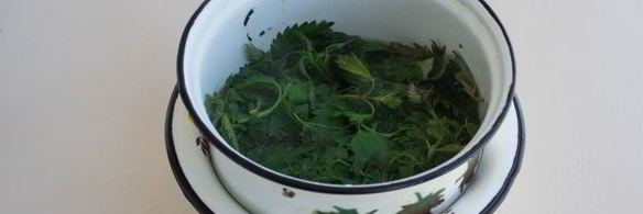 маринованная крапива