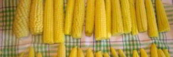 маринованная кукуруза на зиму