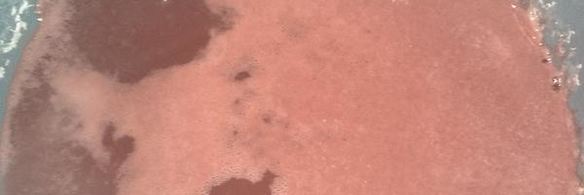 маринованная свекла по-скандинавски