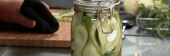 маринованный фенхель с тархуном