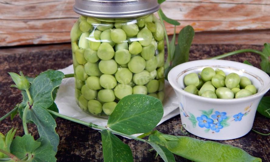 Рецепт маринованного гороха на зиму домашний