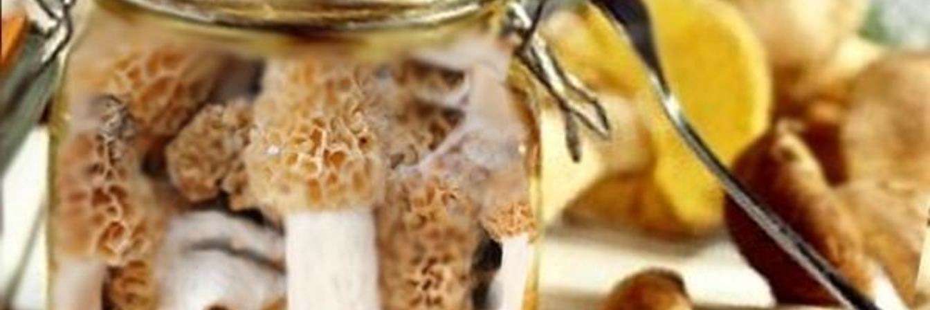 Маринованный сморчок