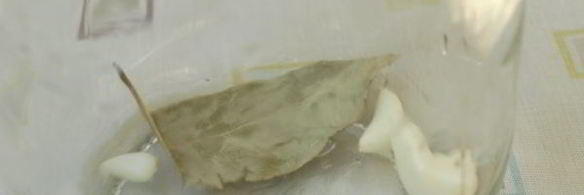 маринованные баклажаны на зиму