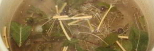 маринованные белые грибы без стерилизации