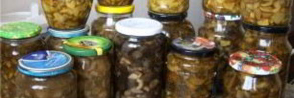 маринованные белые грибы без стерилизации