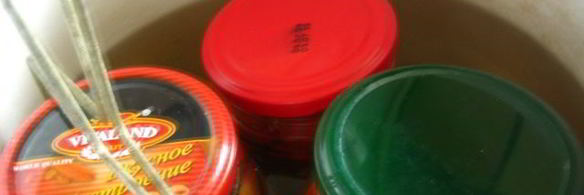 маринованные дольки помидор с луком и чесноком