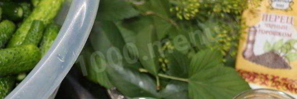 маринованные хрустящие огурчики на зиму