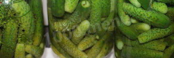 маринованные хрустящие огурчики на зиму