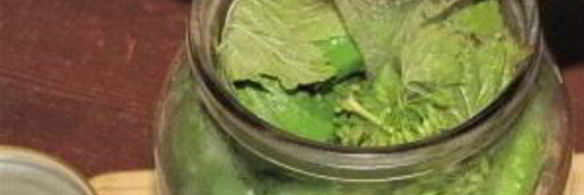 маринованные корнишоны