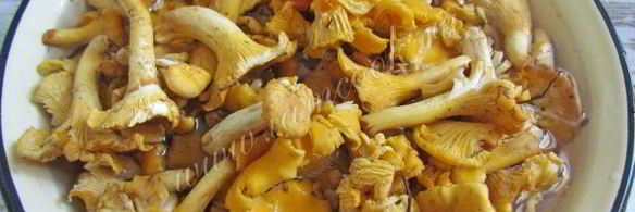 маринованные лисички на зиму