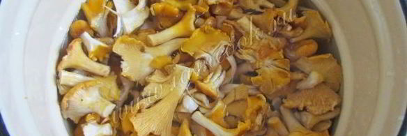 маринованные лисички на зиму