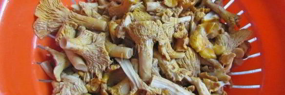 маринованные лисички на зиму